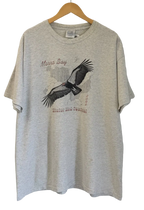 3A-83-CH Grey Winter Bird Festival 2004 Tee