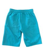 Club-101- Teal Miami Dolphins shorts