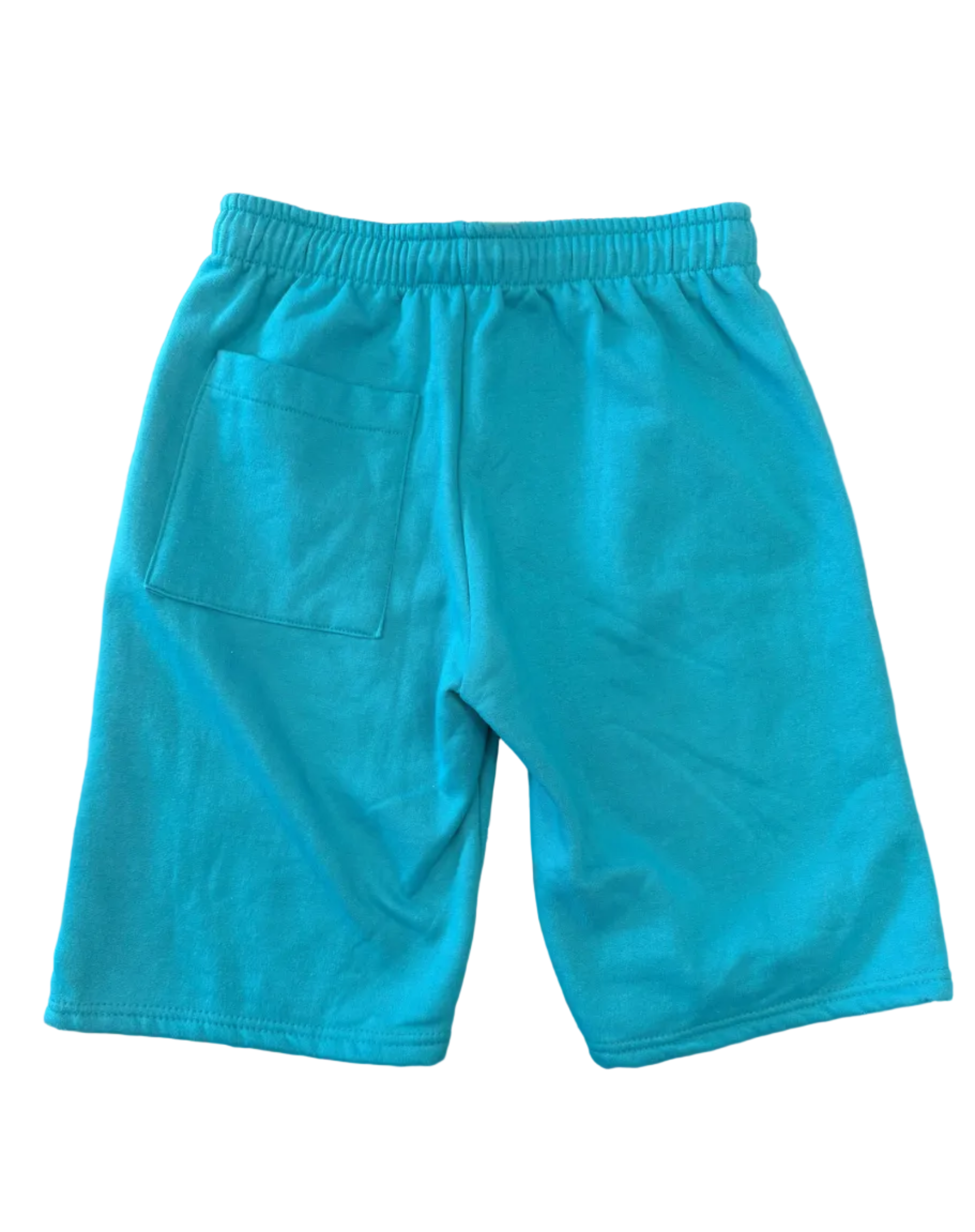 Club-101- Teal Miami Dolphins shorts