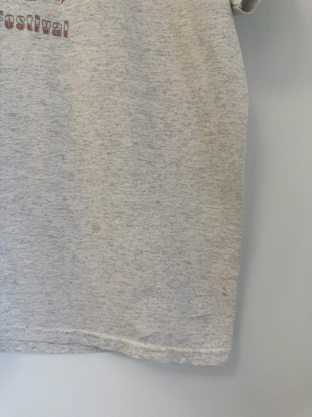 3A-83-CH Grey Winter Bird Festival 2004 Tee