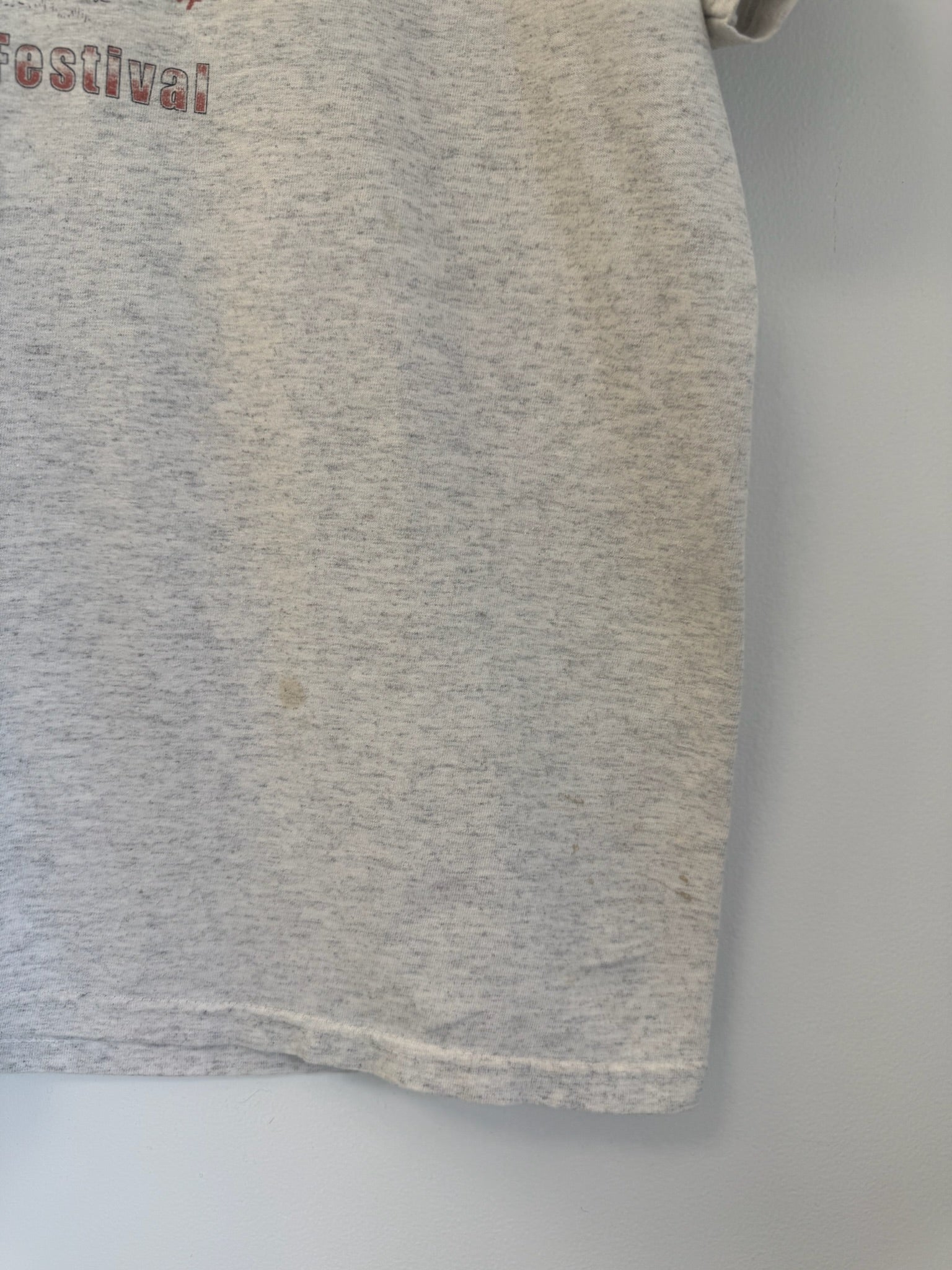3A-83-CH Grey Winter Bird Festival 2004 Tee