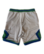 4A-179-CH Nike Green Grey Shorts