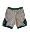 4A-179-CH Nike Green Grey Shorts