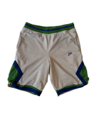 4A-179-CH Nike Green Grey Shorts