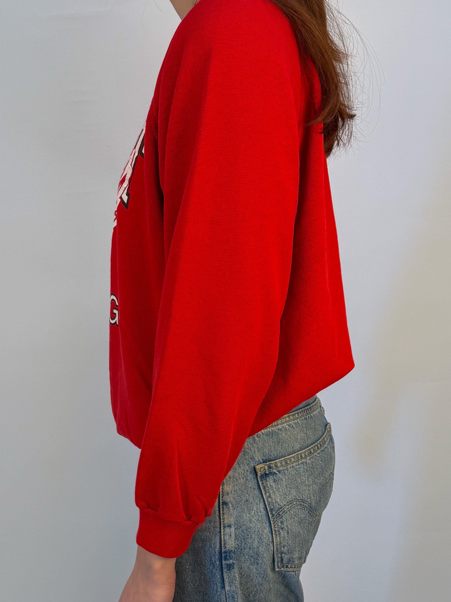 1A-66-CH Detroit Redwings Crewneck