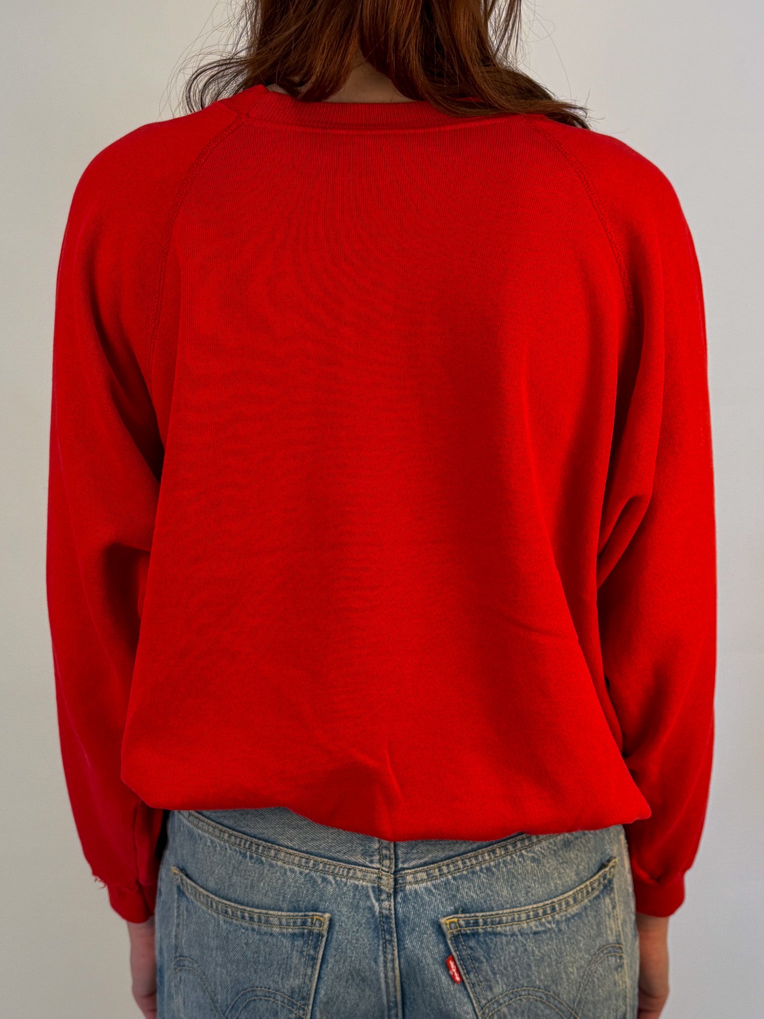 1A-66-CH Detroit Redwings Crewneck